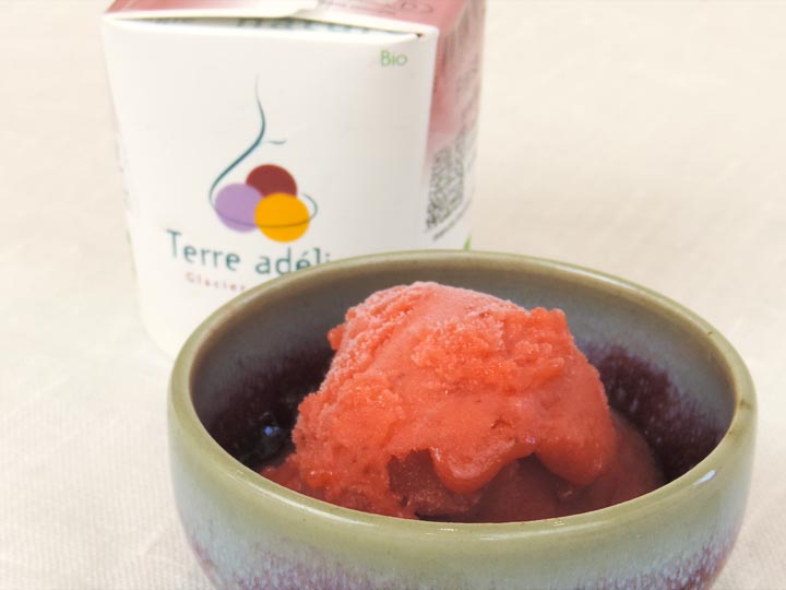 Succomber aux glaces Terre adélice