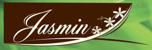 Jasmin Schwartz logo